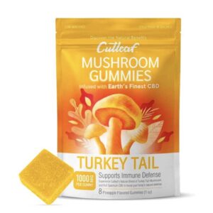 Turkey Tail Pineapple Cutleaf Mushroom CBD Gummies 1000mg